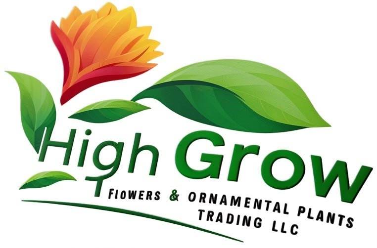 High Grow Logo